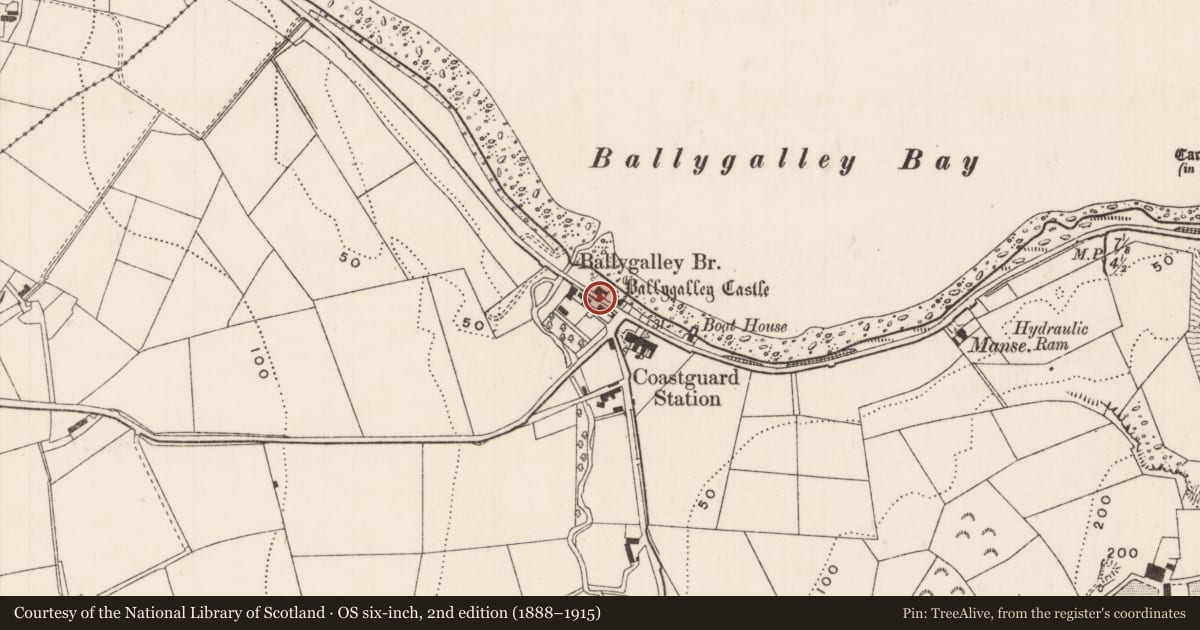 Ordnance Survey six-inch map, 2nd edition (1888–1915) covering the location of Ballygally Castle, Ballygalley, Mid and East Antrim, with a pin at the register's coordinates