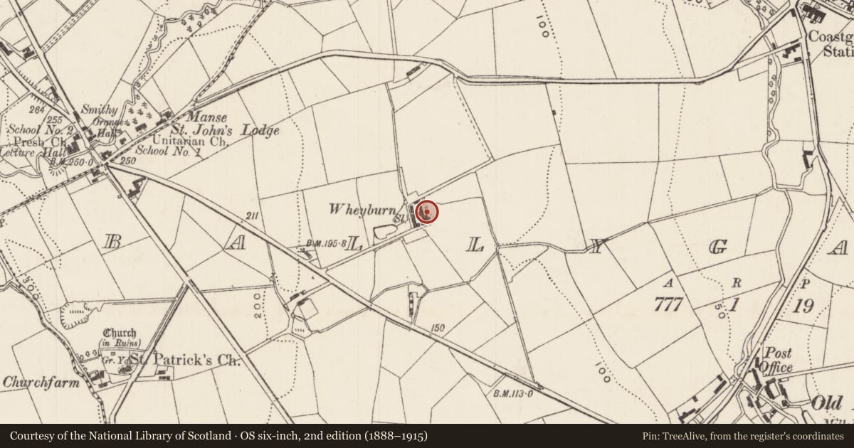 Ordnance Survey six-inch map, 2nd edition (1888–1915) covering the location of Wheyburn, Ballygalley, Mid and East Antrim, with a pin at the register's coordinates