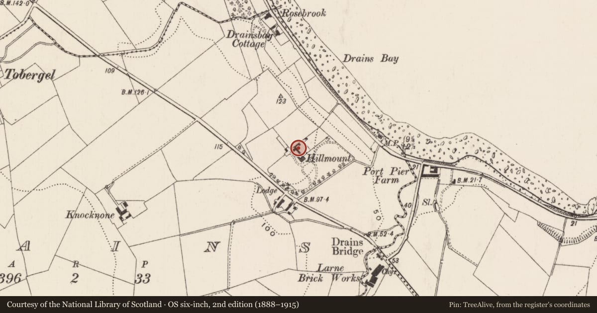 Ordnance Survey six-inch map, 2nd edition (1888–1915) covering the location of Hillmount, Drains, Mid and East Antrim, with a pin at the register's coordinates