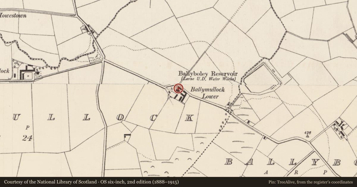 Ordnance Survey six-inch map, 2nd edition (1888–1915) covering the location of Ballymullock House, Mid and East Antrim, with a pin at the register's coordinates