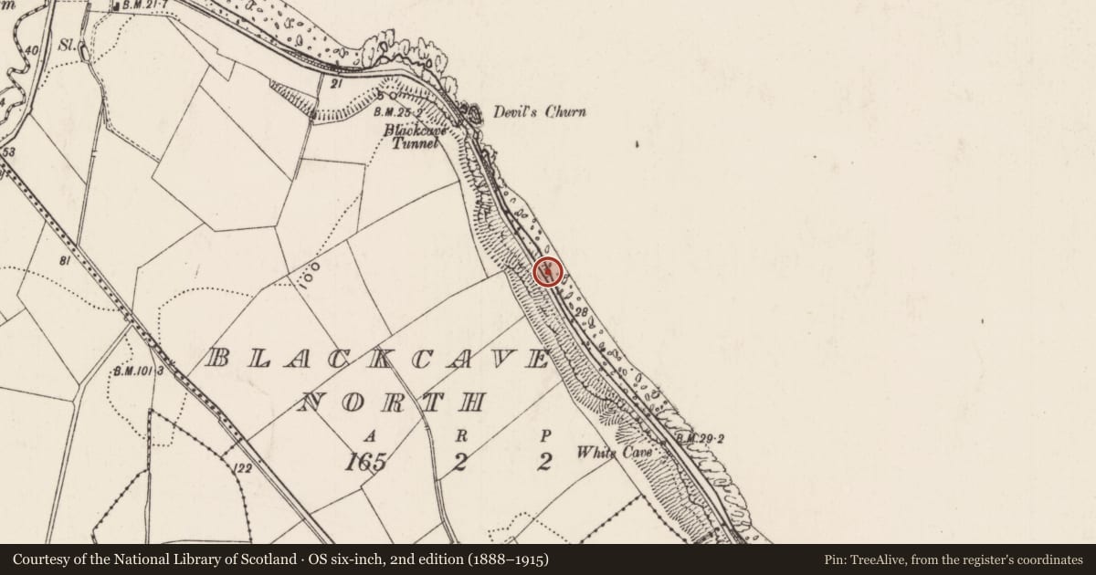 Ordnance Survey six-inch map, 2nd edition (1888–1915) covering the location of Victorian railings, Blackcave North, Mid and East Antrim, with a pin at the register's coordinates