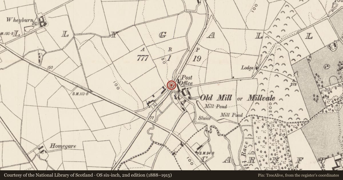 Ordnance Survey six-inch map, 2nd edition (1888–1915) covering the location of Bridge near Millvale, Ballygally, Mid and East Antrim, with a pin at the register's coordinates