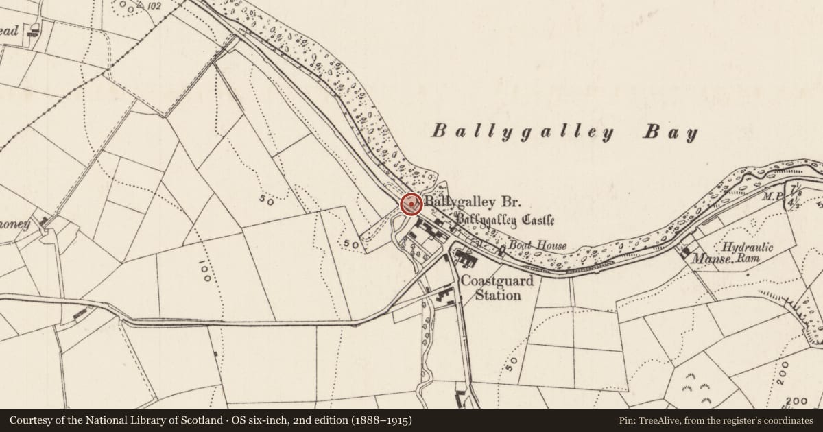 Ordnance Survey six-inch map, 2nd edition (1888–1915) covering the location of Ballygalley Bridge, Ballygally, Mid and East Antrim, with a pin at the register's coordinates