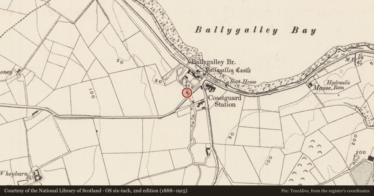 Ordnance Survey six-inch map, 2nd edition (1888–1915) covering the location of Bridge at Cairncastle Road, Ballygally, Mid and East Antrim, with a pin at the register's coordinates