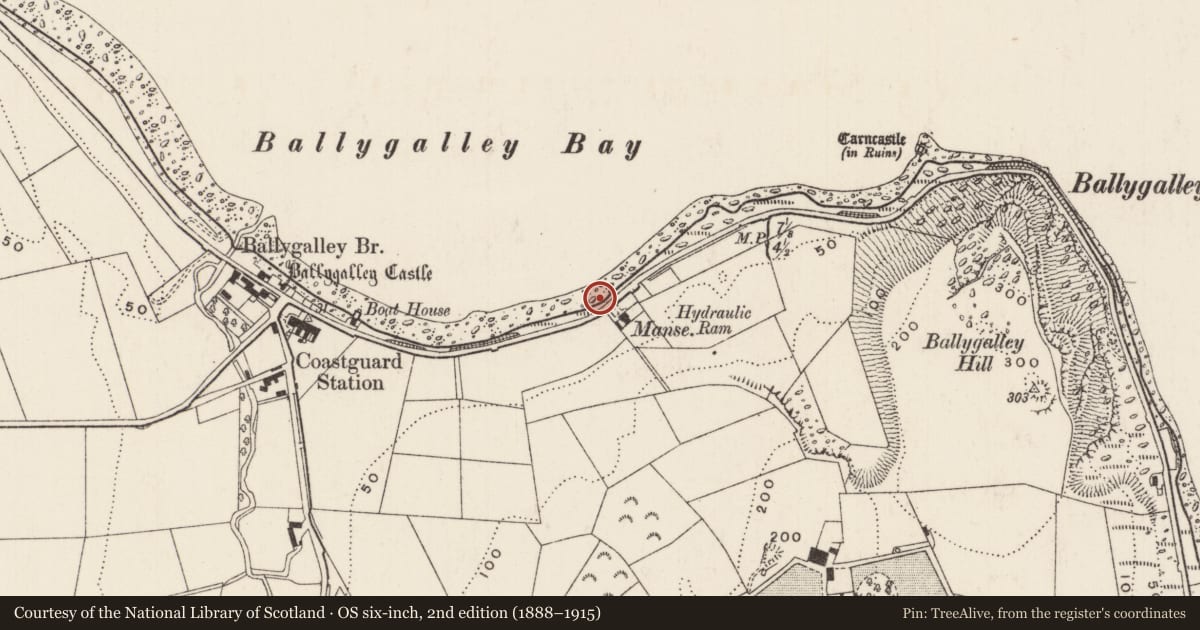 Ordnance Survey six-inch map, 2nd edition (1888–1915) covering the location of Fountain, Ballygalley, Mid and East Antrim, with a pin at the register's coordinates