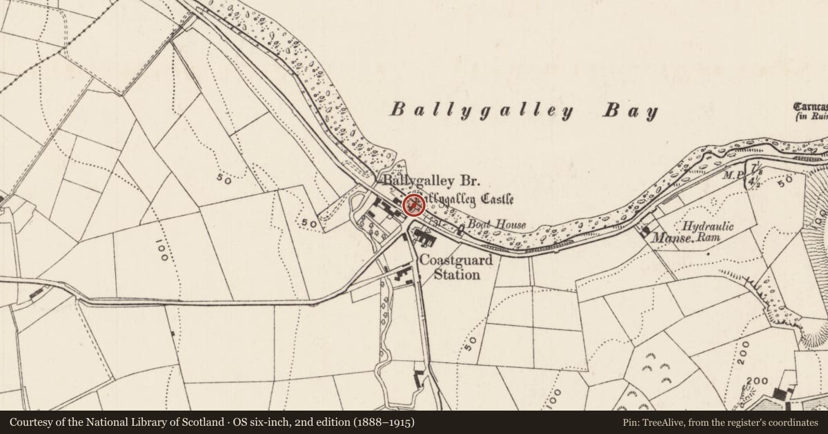 Ordnance Survey six-inch map, 2nd edition (1888–1915) covering the location of Fountain, Ballygalley, Mid and East Antrim, with a pin at the register's coordinates
