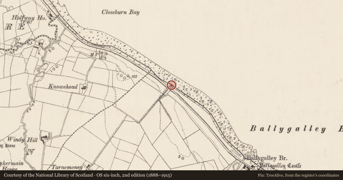 Ordnance Survey six-inch map, 2nd edition (1888–1915) covering the location of Pump situated opposite 316 Coast Road, Ballygalley, Mid and East Antrim, with a pin at the register's coordinates