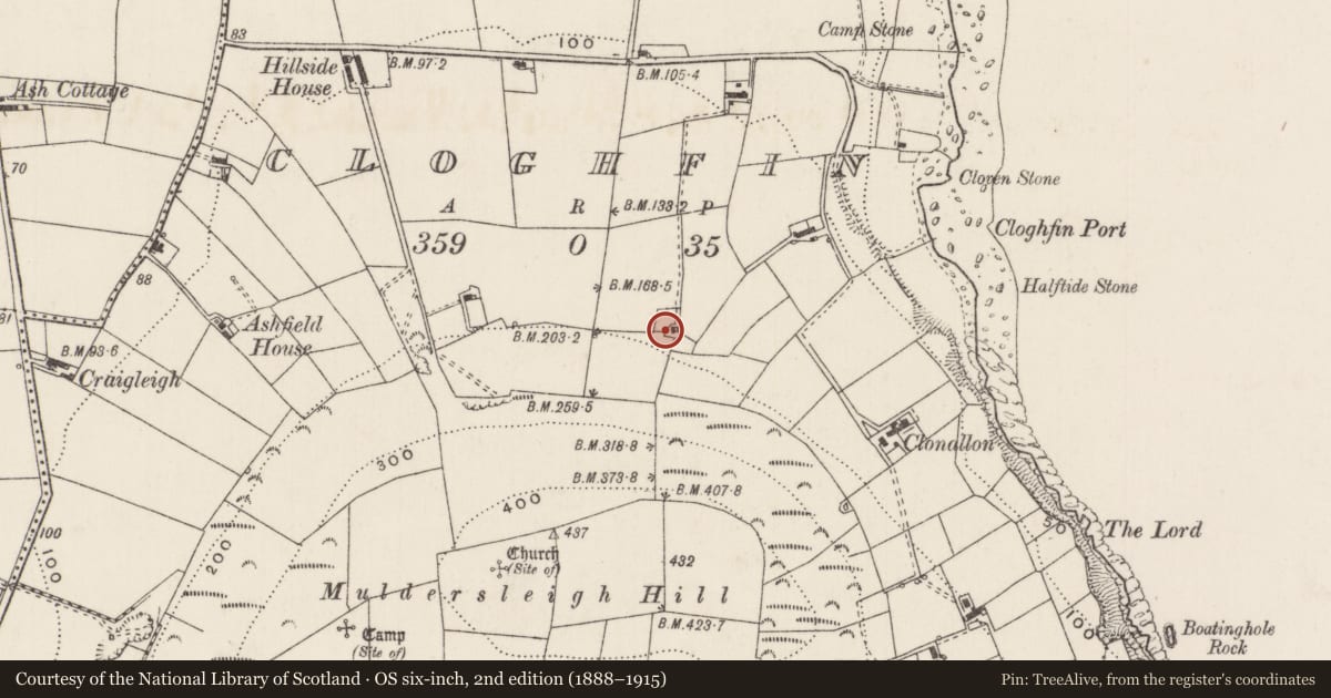 Ordnance Survey six-inch map, 2nd edition (1888–1915) covering the location of 29 Port Road, Cloghfin, Mid and East Antrim, with a pin at the register's coordinates