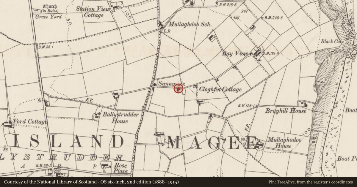 Ordnance Survey six-inch map, 2nd edition (1888–1915) covering the location of 1 Town Lane, Cloghfin, Mid and East Antrim, with a pin at the register's coordinates