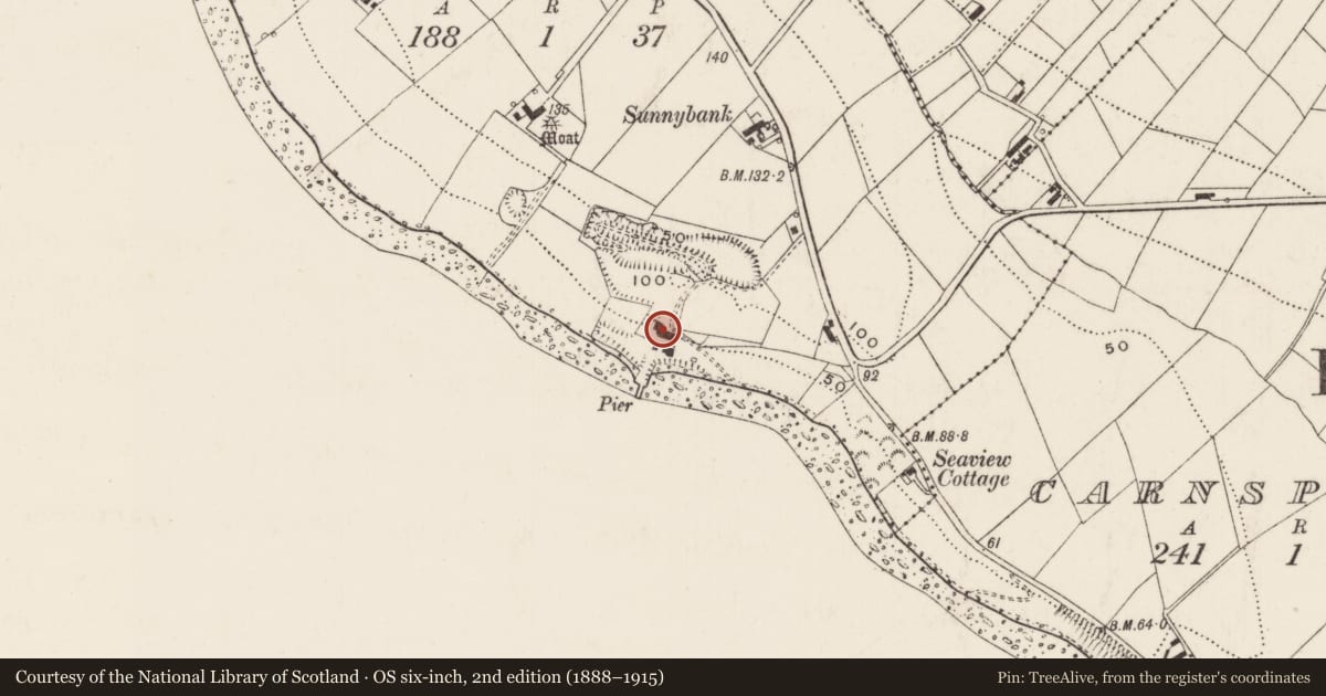 Ordnance Survey six-inch map, 2nd edition (1888–1915) covering the location of Rural Industry, Ballydown, Mid and East Antrim, with a pin at the register's coordinates
