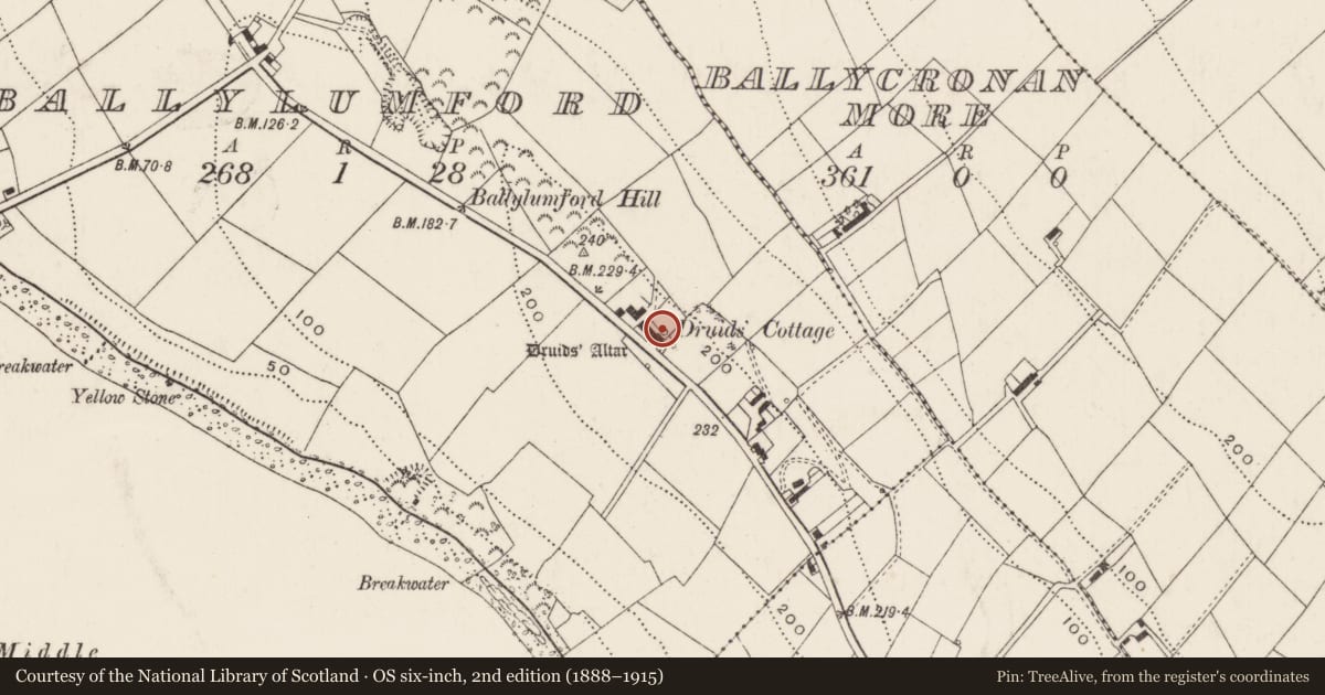 Ordnance Survey six-inch map, 2nd edition (1888–1915) covering the location of Druid’s Cottage, Ballylumford, Mid and East Antrim, with a pin at the register's coordinates