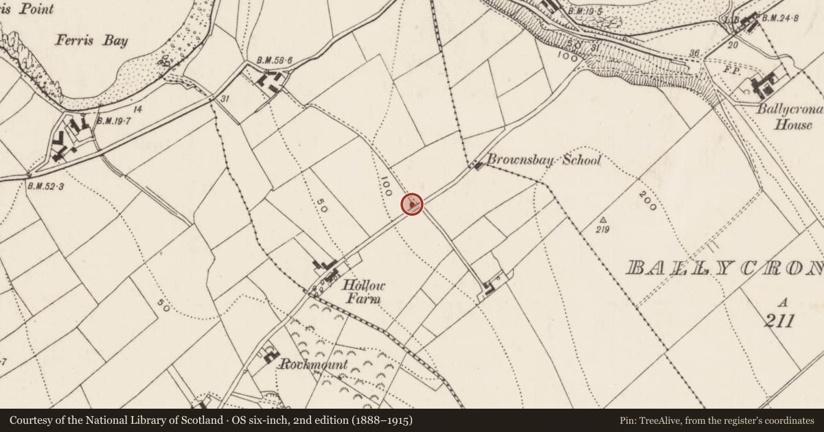 Ordnance Survey six-inch map, 2nd edition (1888–1915) covering the location of Cottage at 10 Quarterland Road, Ballycronan More, Mid and East Antrim, with a pin at the register's coordinates