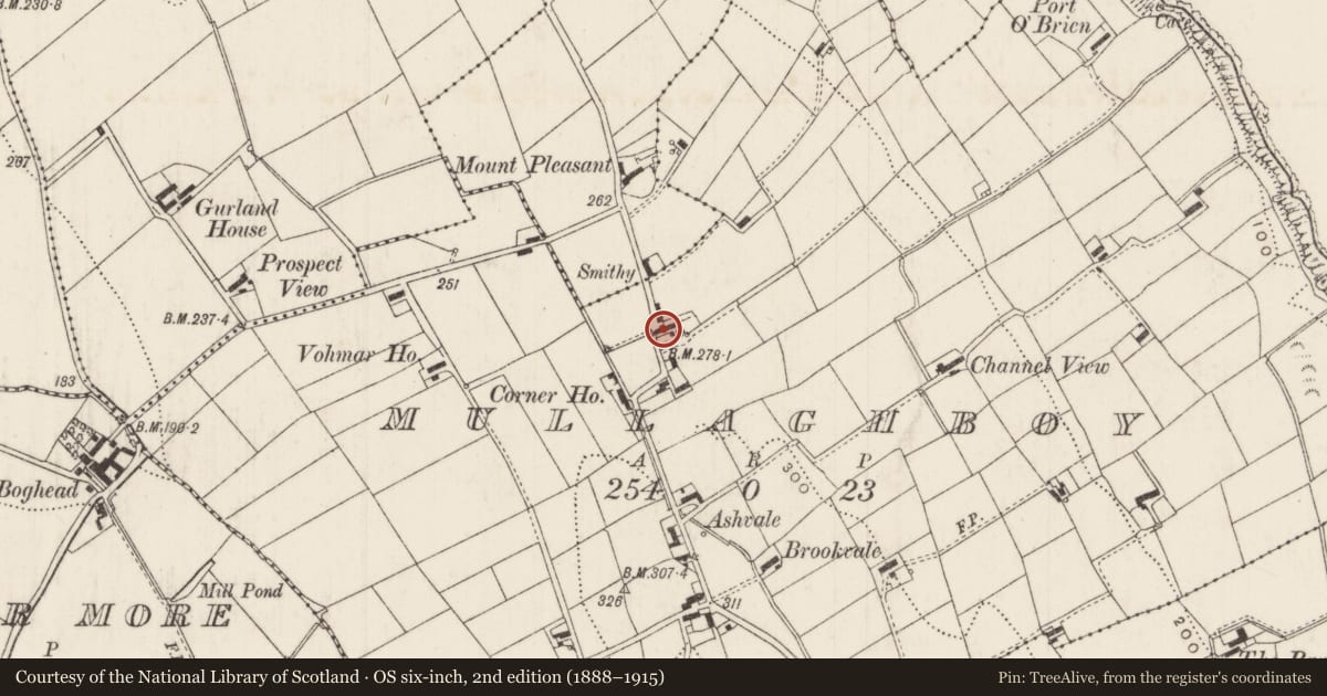 Ordnance Survey six-inch map, 2nd edition (1888–1915) covering the location of 65 Mullaghboy Road, Mid and East Antrim, with a pin at the register's coordinates