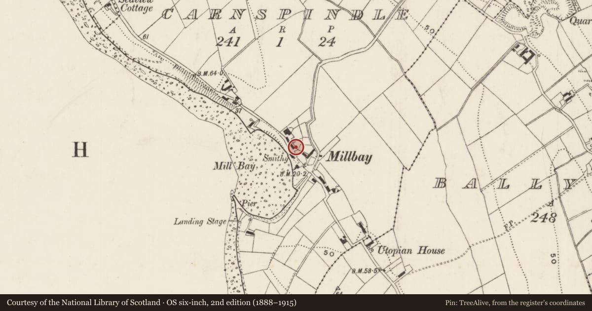 Ordnance Survey six-inch map, 2nd edition (1888–1915) covering the location of 77 Millbay Road, Carnspindle, Mid and East Antrim, with a pin at the register's coordinates