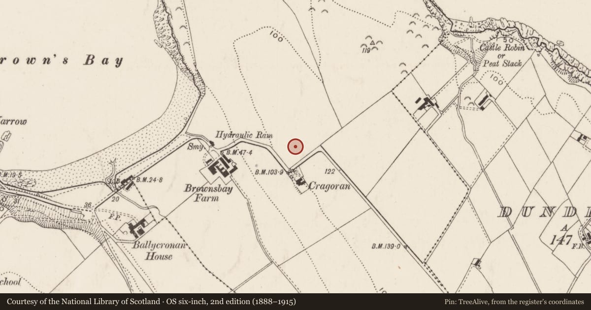 Ordnance Survey six-inch map, 2nd edition (1888–1915) covering the location of Inisreen, Ballyprior Beg, Mid and East Antrim, with a pin at the register's coordinates