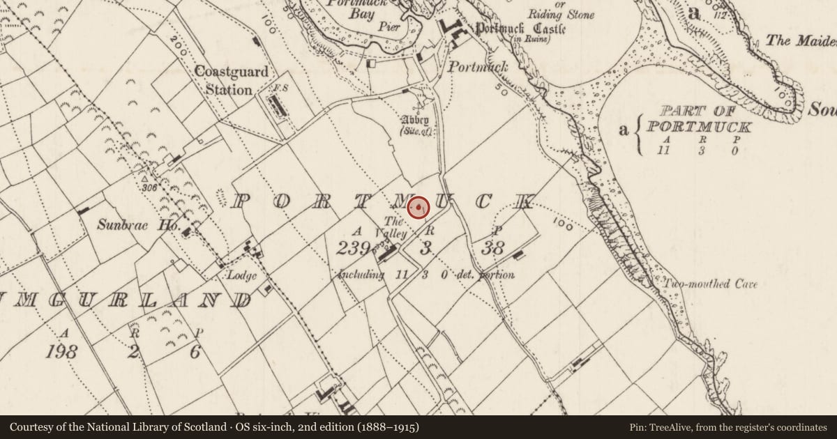 Ordnance Survey six-inch map, 2nd edition (1888–1915) covering the location of Rural Industry, Portmuck, Mid and East Antrim, with a pin at the register's coordinates
