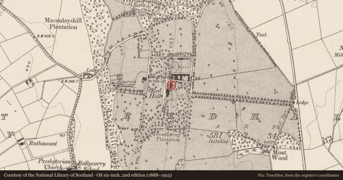 Ordnance Survey six-inch map, 2nd edition (1888–1915) covering the location of The Brewhouse and walling, Redhall, Mid and East Antrim, with a pin at the register's coordinates