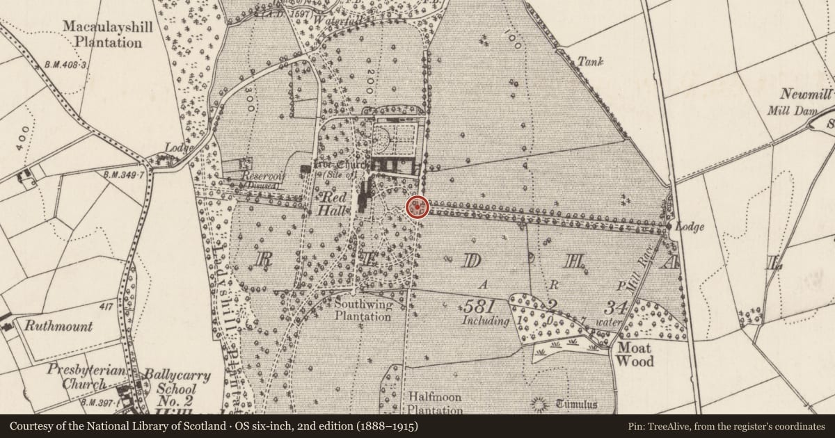 Ordnance Survey six-inch map, 2nd edition (1888–1915) covering the location of Garden turret at Red Hall, Redhall, Mid and East Antrim, with a pin at the register's coordinates