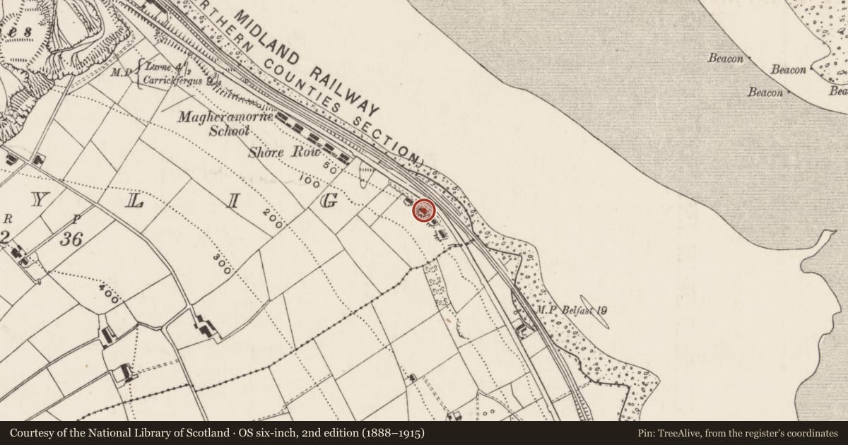 Ordnance Survey six-inch map, 2nd edition (1888–1915) covering the location of 1-8 Shore Row, Ballylig, Mid and East Antrim, with a pin at the register's coordinates