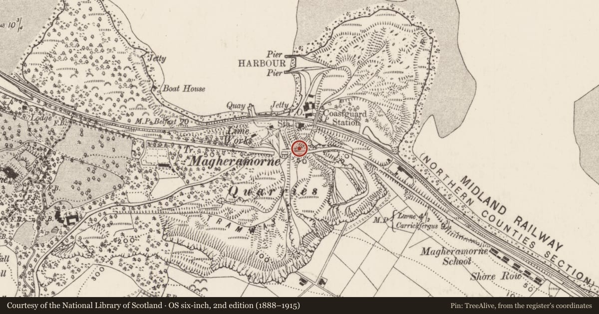 Ordnance Survey six-inch map, 2nd edition (1888–1915) covering the location of Twin bridges over Shore Road, Ballylig, Mid and East Antrim, with a pin at the register's coordinates