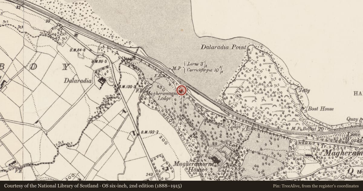 Ordnance Survey six-inch map, 2nd edition (1888–1915) covering the location of Lodge at Magheramorne House, Newlands, Mid and East Antrim, with a pin at the register's coordinates