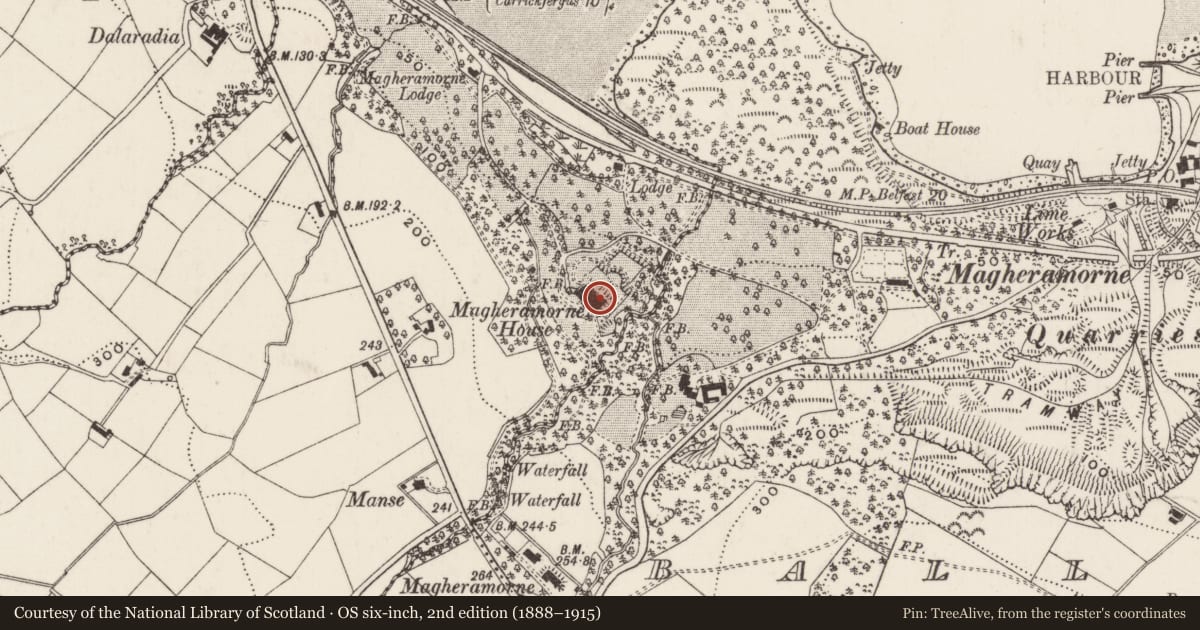 Ordnance Survey six-inch map, 2nd edition (1888–1915) covering the location of Magheramorne House, Newlands, Mid and East Antrim, with a pin at the register's coordinates