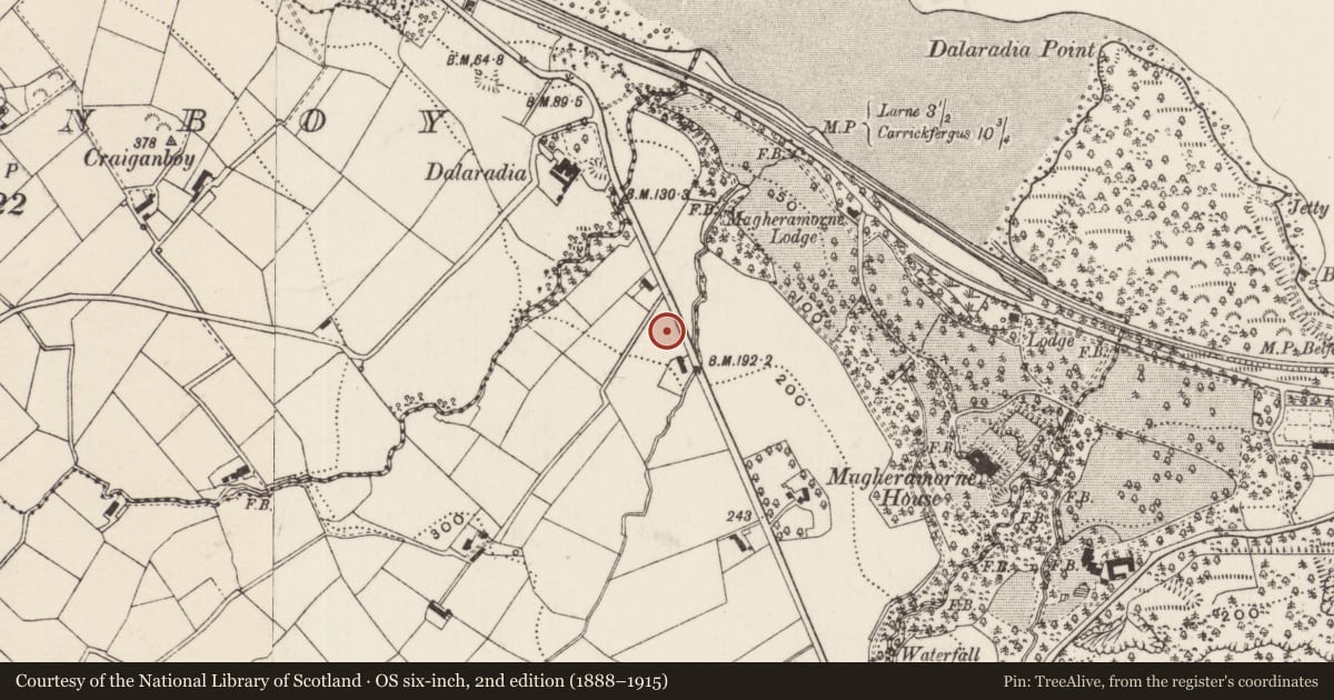 Ordnance Survey six-inch map, 2nd edition (1888–1915) covering the location of Magheramorne Orange Hall, Mullaghmossan, Mid and East Antrim, with a pin at the register's coordinates