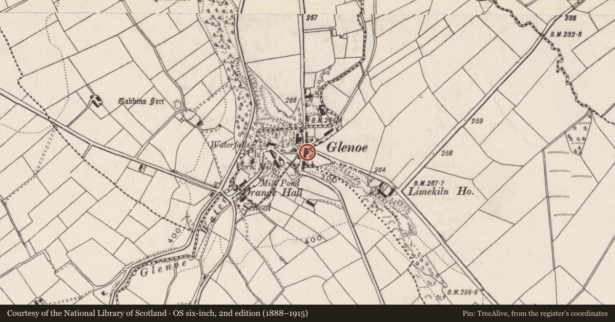 Ordnance Survey six-inch map, 2nd edition (1888–1915) covering the location of 7 Glenoe Village, Ballywillin, Mid and East Antrim, with a pin at the register's coordinates