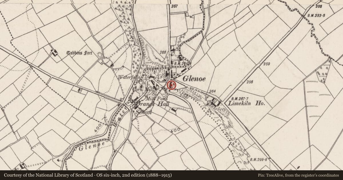 Ordnance Survey six-inch map, 2nd edition (1888–1915) covering the location of 10 Glenoe Village, Ballywillin, Mid and East Antrim, with a pin at the register's coordinates