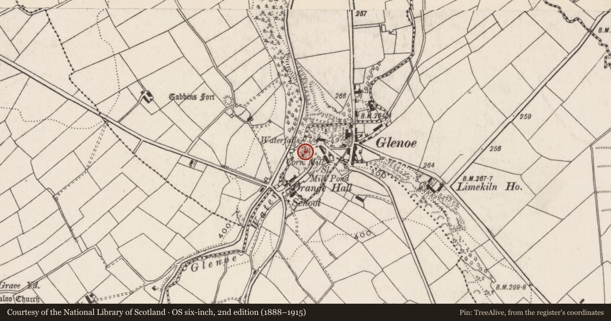 Ordnance Survey six-inch map, 2nd edition (1888–1915) covering the location of Raloo Church of Ireland Parish Church, Ballywillin, Mid and East Antrim, with a pin at the register's coordinates
