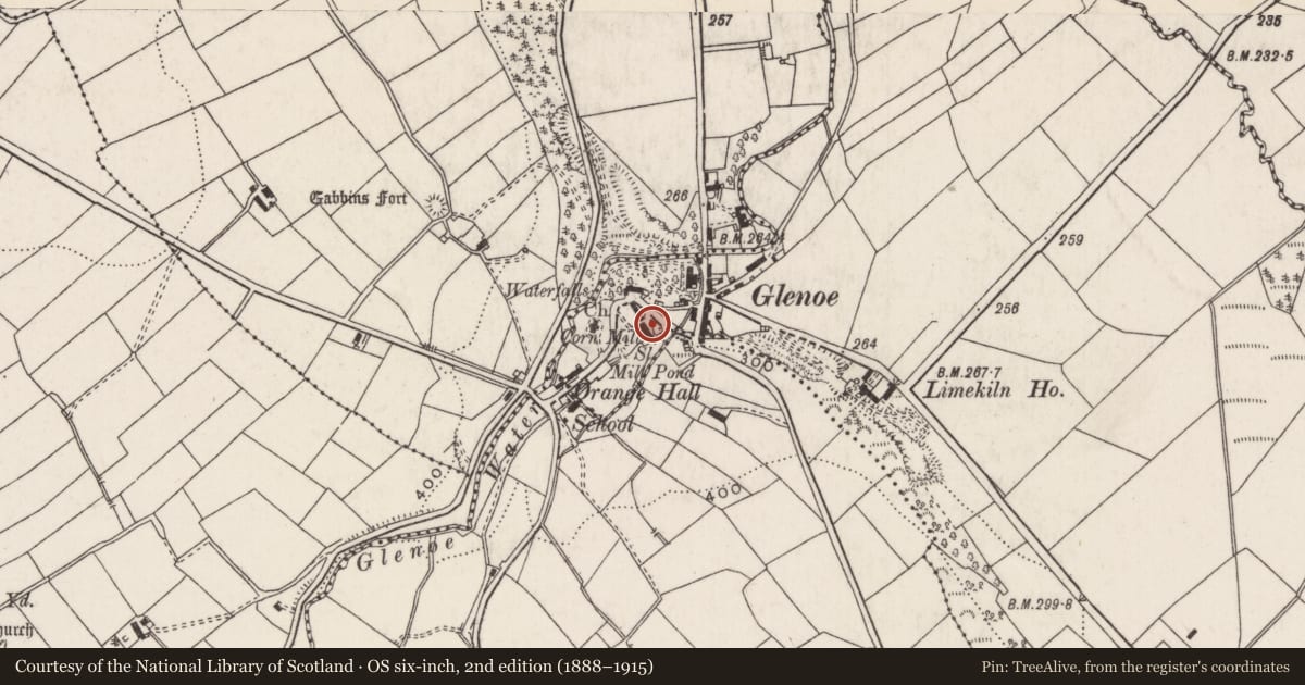 Ordnance Survey six-inch map, 2nd edition (1888–1915) covering the location of Corn Mill, Ballywillin, Mid and East Antrim, with a pin at the register's coordinates