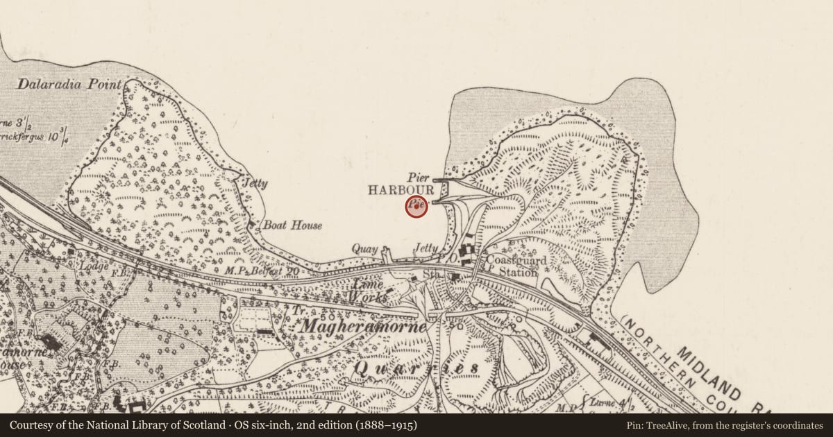 Ordnance Survey six-inch map, 2nd edition (1888–1915) covering the location of Jetty at Magheramorne Cement Works, Ballylig, Mid and East Antrim, with a pin at the register's coordinates