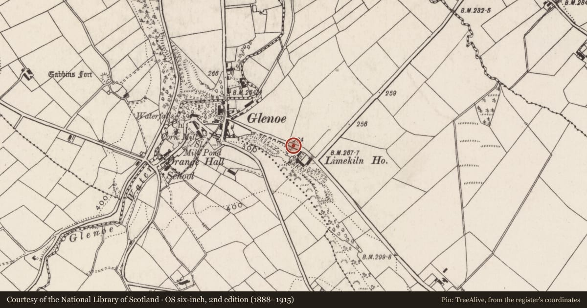 Ordnance Survey six-inch map, 2nd edition (1888–1915) covering the location of Lime kilns at 9 Ballywillin Road, Mid and East Antrim, with a pin at the register's coordinates