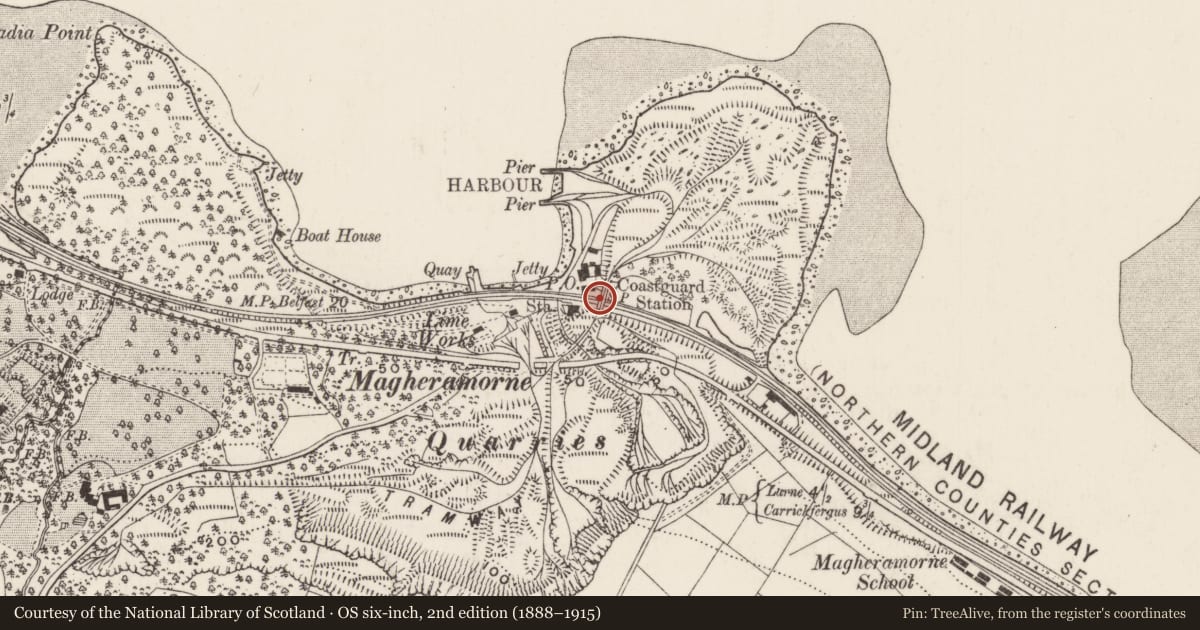Ordnance Survey six-inch map, 2nd edition (1888–1915) covering the location of Bridge, Ballylig, Mid and East Antrim, with a pin at the register's coordinates