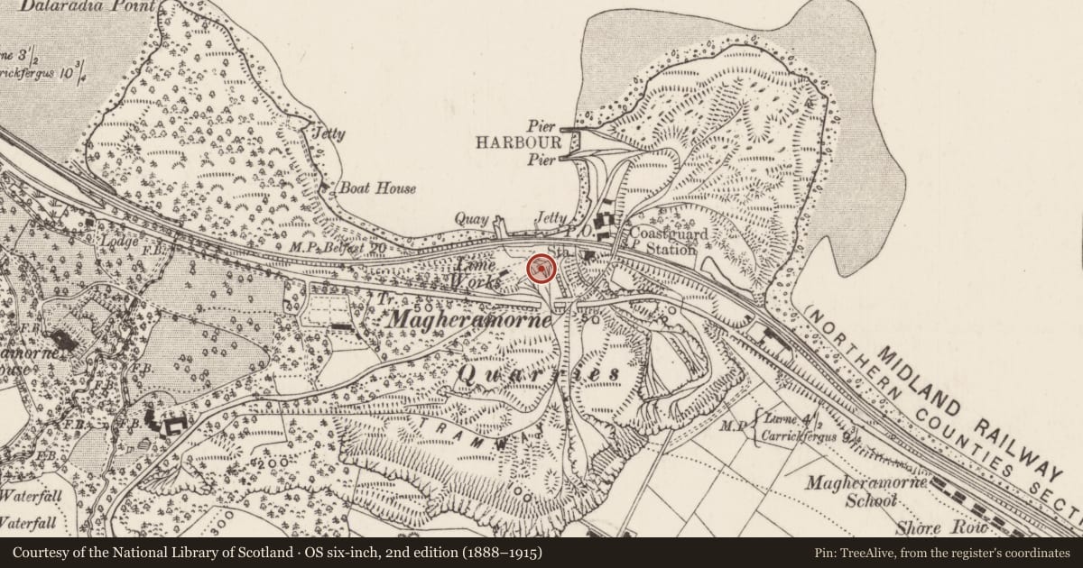 Ordnance Survey six-inch map, 2nd edition (1888–1915) covering the location of Rural Industry, Ballylig, Mid and East Antrim, with a pin at the register's coordinates