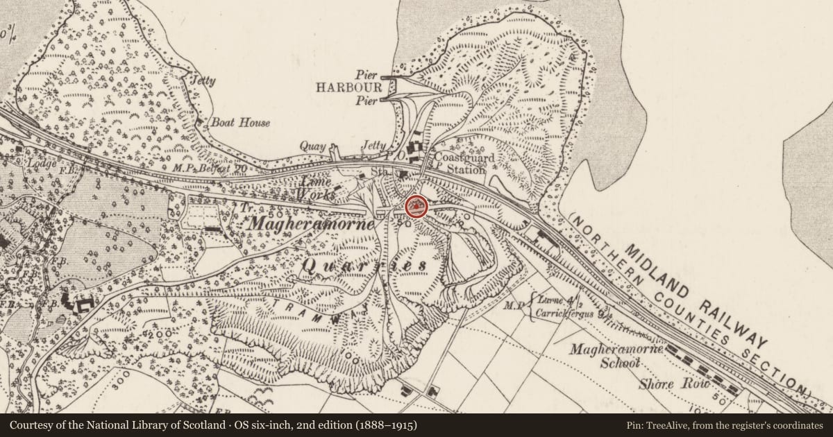 Ordnance Survey six-inch map, 2nd edition (1888–1915) covering the location of Bridge, Ballylig, Mid and East Antrim, with a pin at the register's coordinates
