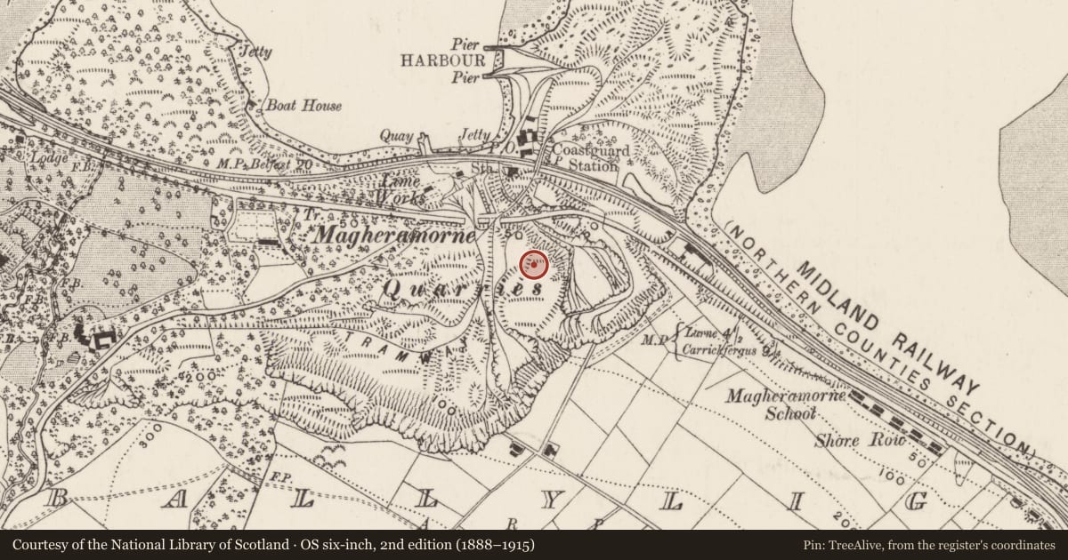 Ordnance Survey six-inch map, 2nd edition (1888–1915) covering the location of Concrete hoppers, Ballylig, Mid and East Antrim, with a pin at the register's coordinates