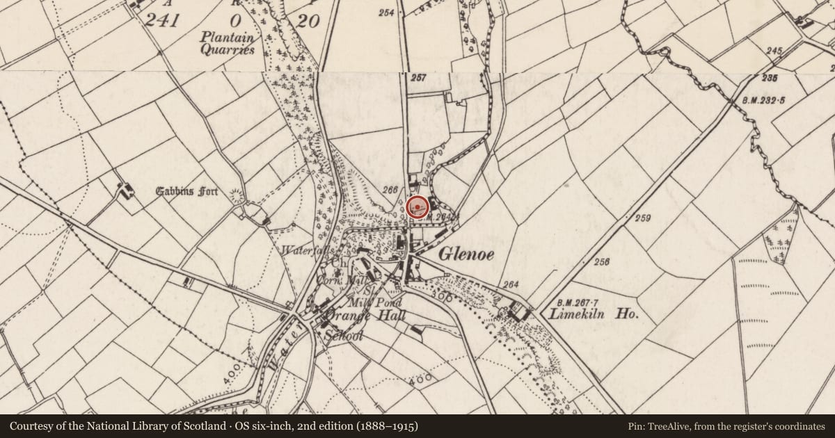 Ordnance Survey six-inch map, 2nd edition (1888–1915) covering the location of Outbuildings, Ballywillin, Mid and East Antrim, with a pin at the register's coordinates