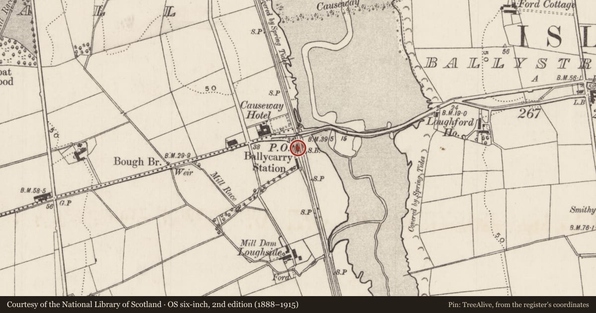 Ordnance Survey six-inch map, 2nd edition (1888–1915) covering the location of 25 Lower Island Road, Forthill, Mid and East Antrim, with a pin at the register's coordinates