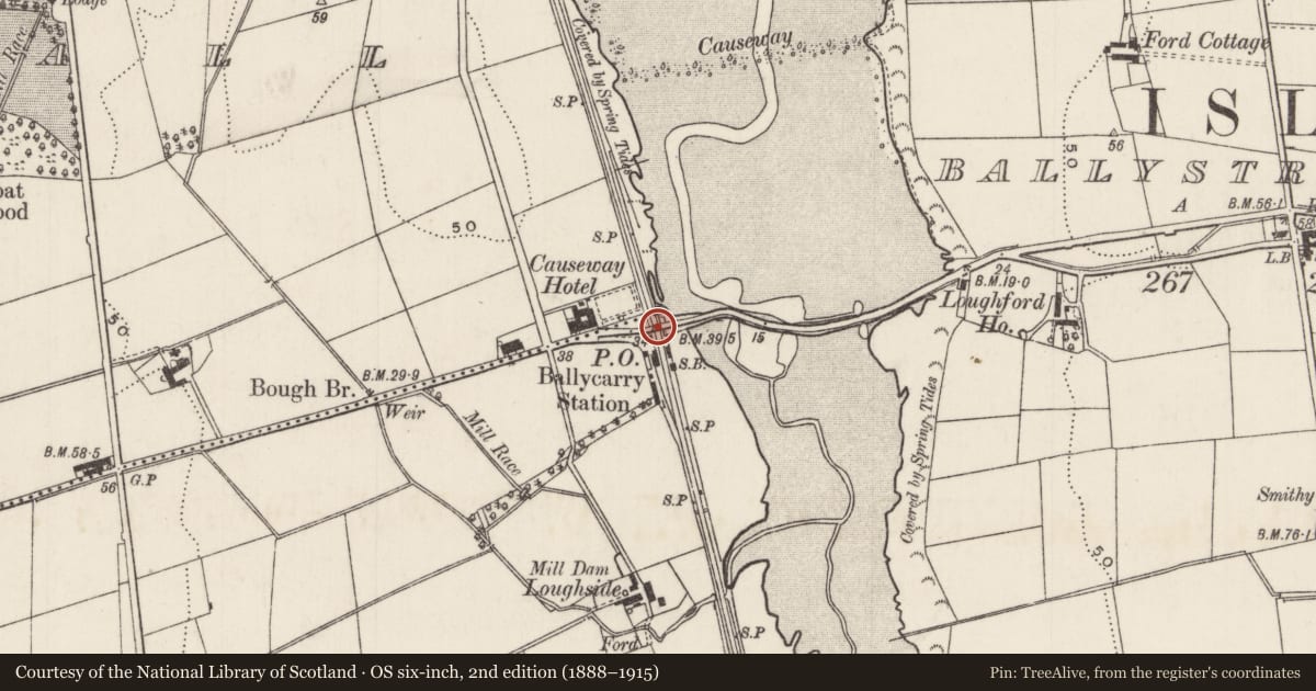 Ordnance Survey six-inch map, 2nd edition (1888–1915) covering the location of Bridge over railway at Lower Island Road, Forthill, Mid and East Antrim, with a pin at the register's coordinates
