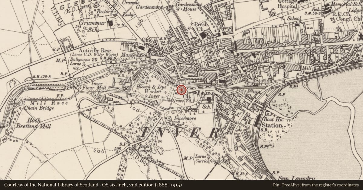 Ordnance Survey six-inch map, 2nd edition (1888–1915) covering the location of St Cedma’s C of I Church, None, Mid and East Antrim, with a pin at the register's coordinates
