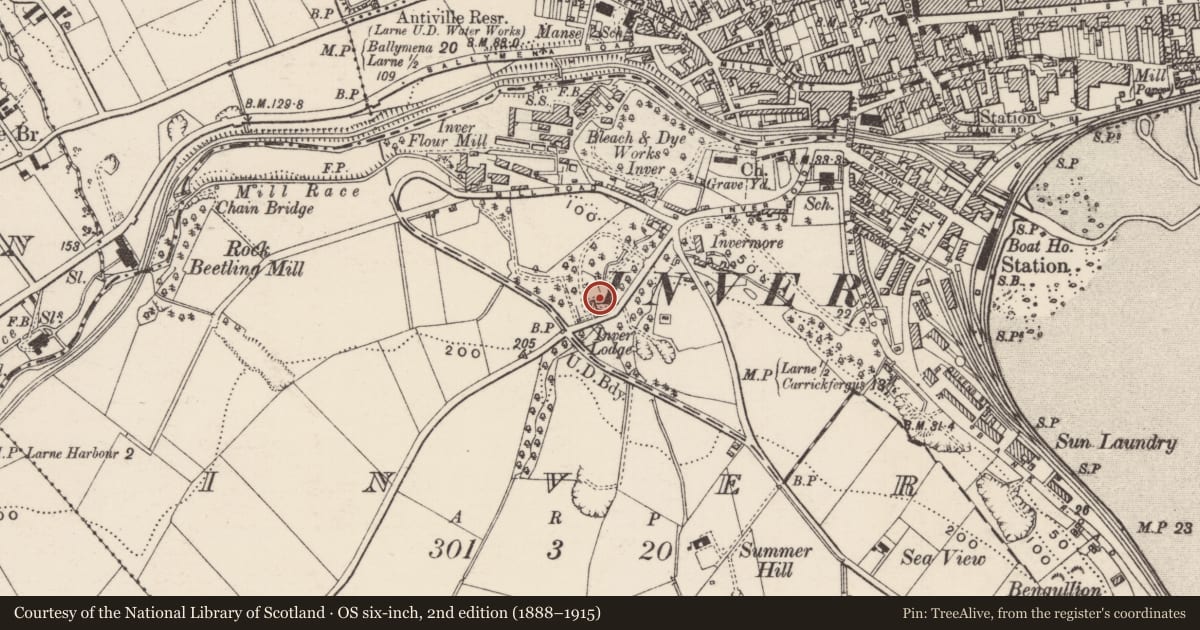 Ordnance Survey six-inch map, 2nd edition (1888–1915) covering the location of Inver Lodge, None, Mid and East Antrim, with a pin at the register's coordinates