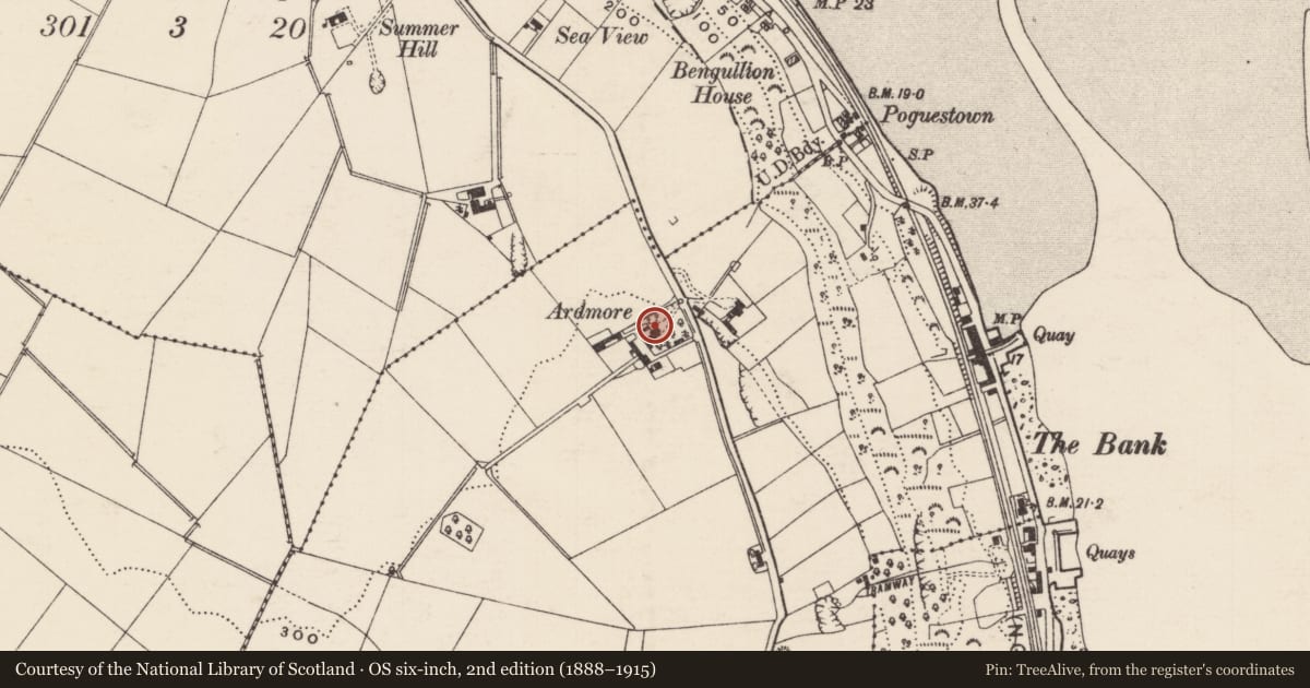 Ordnance Survey six-inch map, 2nd edition (1888–1915) covering the location of Ardmore, Carnduff, Mid and East Antrim, with a pin at the register's coordinates