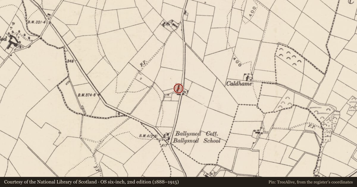 Ordnance Survey six-inch map, 2nd edition (1888–1915) covering the location of 201 Ballysnod Road, Mid and East Antrim, with a pin at the register's coordinates