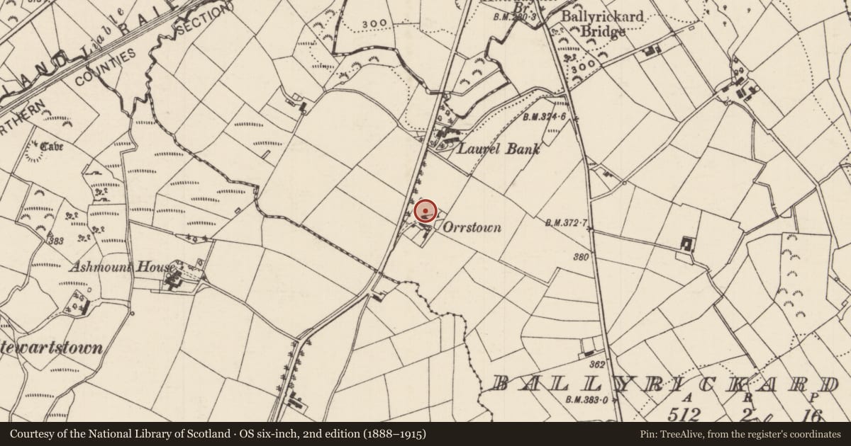 Ordnance Survey six-inch map, 2nd edition (1888–1915) covering the location of 24 Ballyrickard Road, Ballyrickardmore, Mid and East Antrim, with a pin at the register's coordinates
