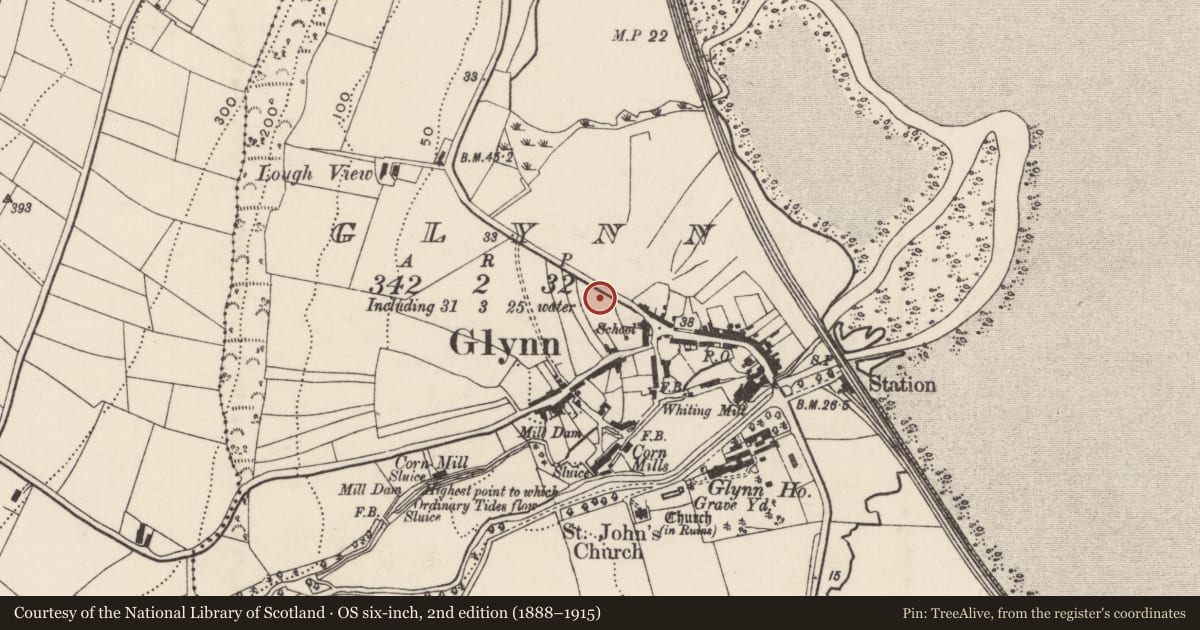 Ordnance Survey six-inch map, 2nd edition (1888–1915) covering the location of Glynn Primary School, Mid and East Antrim, with a pin at the register's coordinates
