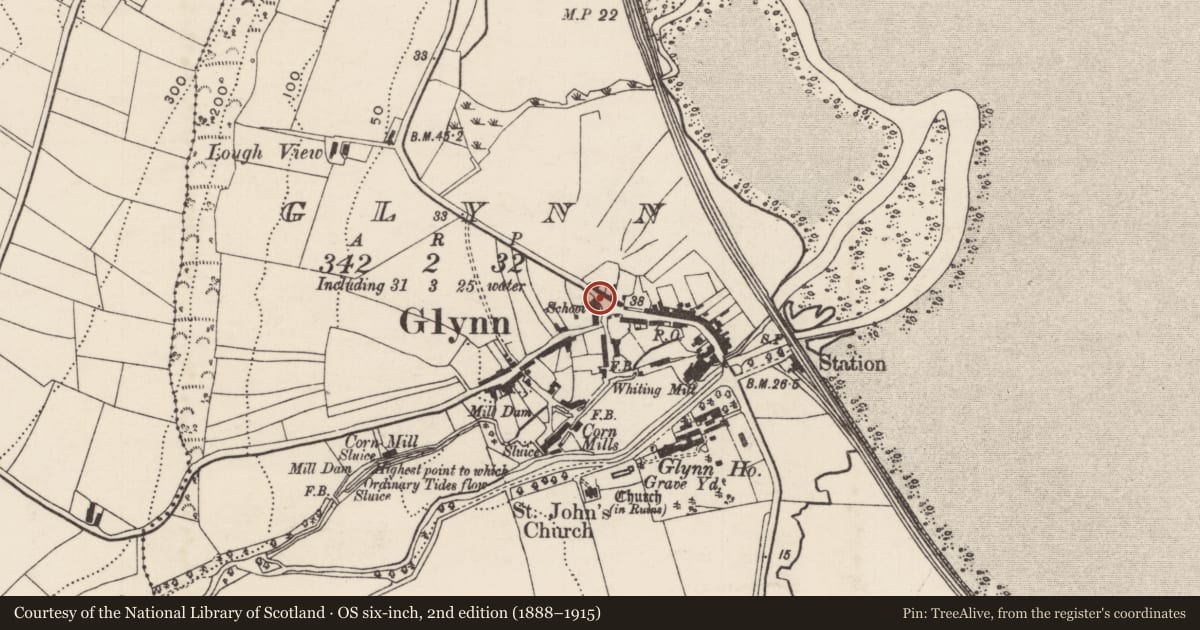 Ordnance Survey six-inch map, 2nd edition (1888–1915) covering the location of 22 Main Road, Glynn, Mid and East Antrim, with a pin at the register's coordinates