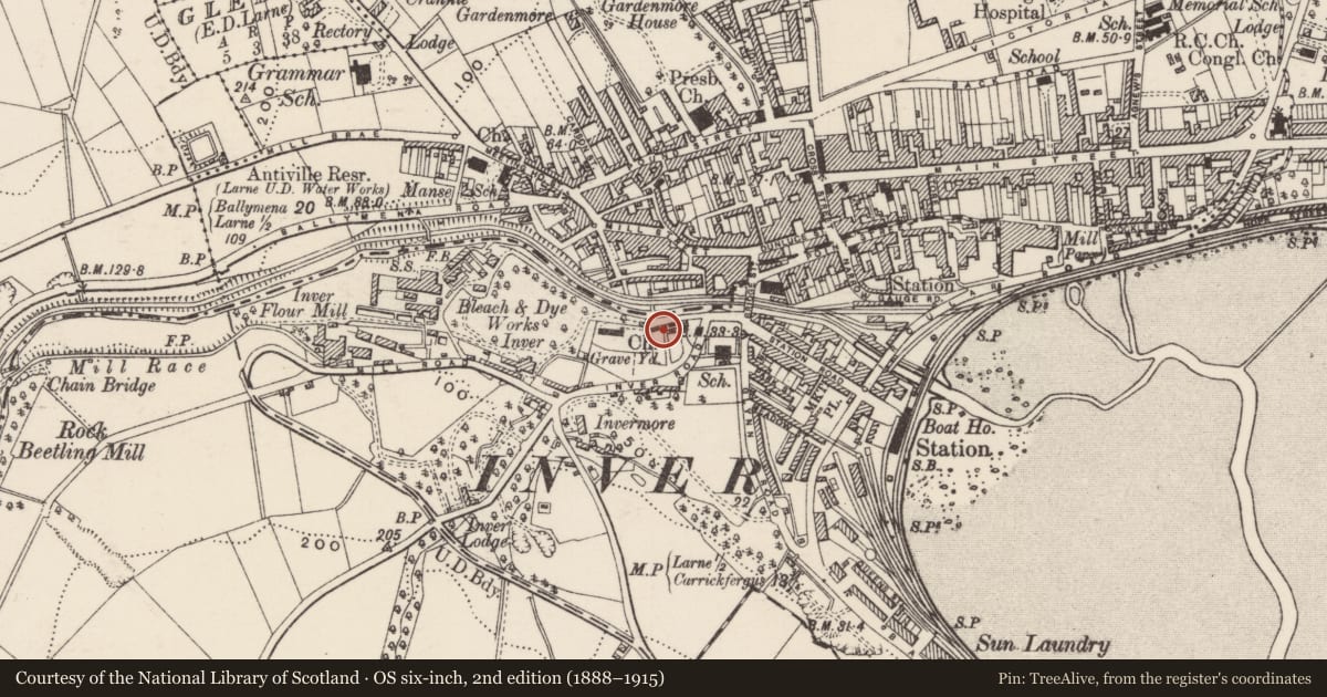 Ordnance Survey six-inch map, 2nd edition (1888–1915) covering the location of War Memorial, None, Mid and East Antrim, with a pin at the register's coordinates