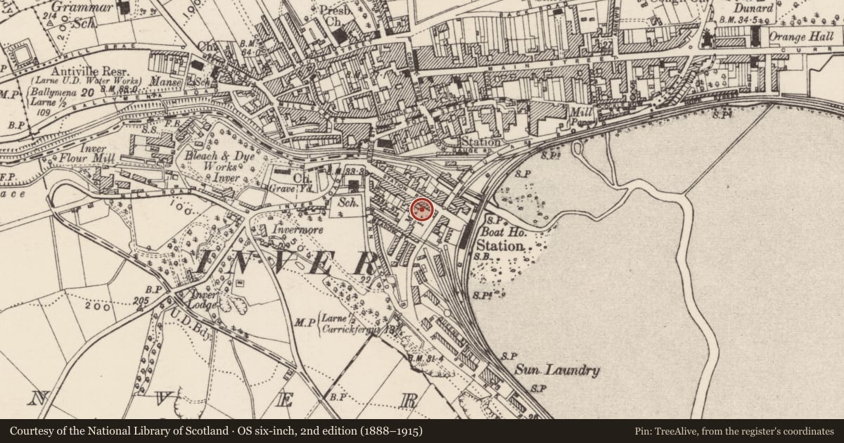 Ordnance Survey six-inch map, 2nd edition (1888–1915) covering the location of Market Yard, None, Mid and East Antrim, with a pin at the register's coordinates