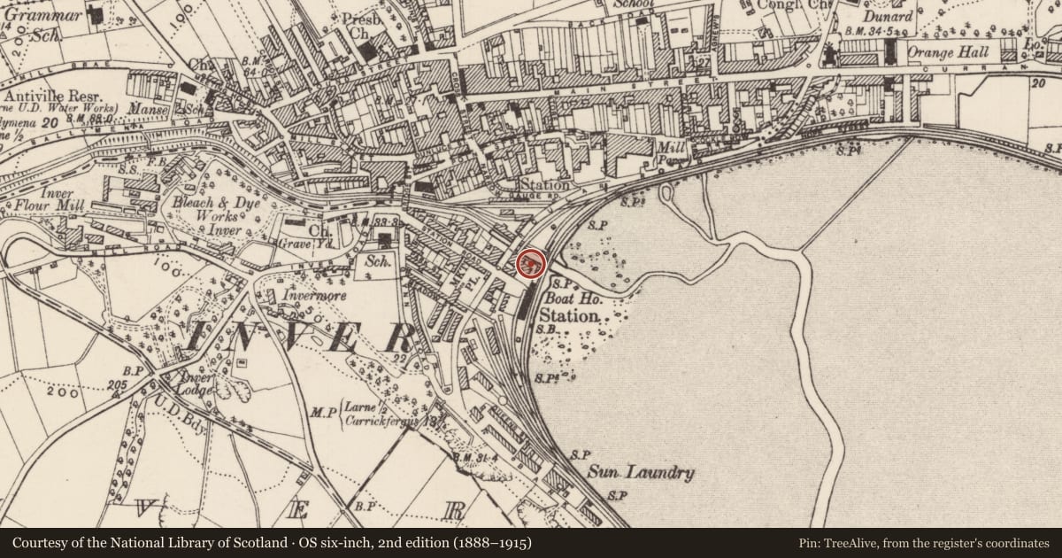 Ordnance Survey six-inch map, 2nd edition (1888–1915) covering the location of Shed at building supplies yard ('Minnis Fleck Building Supplies'), Inver, Mid and East Antrim, with a pin at the register's coordinates